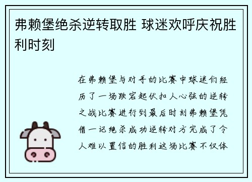 弗赖堡绝杀逆转取胜 球迷欢呼庆祝胜利时刻 弗赖堡绝杀逆转取胜 球迷欢呼庆祝胜利时刻